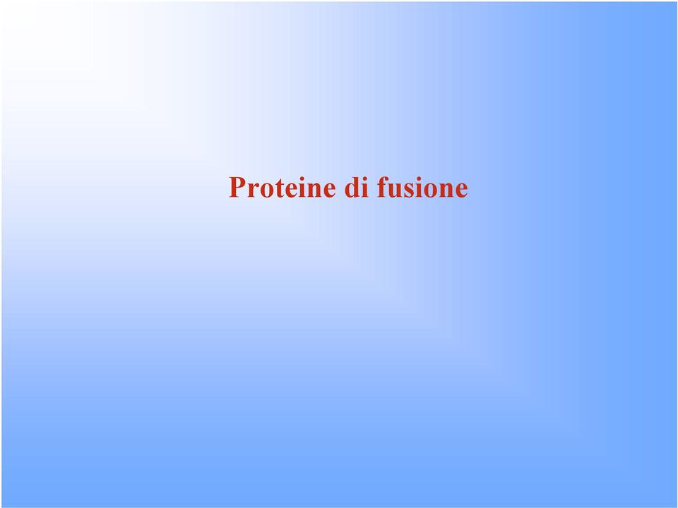 fusione