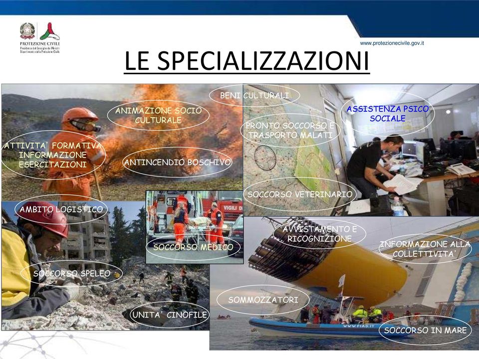 ASSISTENZA PSICO SOCIALE SOCCORSO VETERINARIO AMBITO LOGISTICO SOCCORSO MEDICO