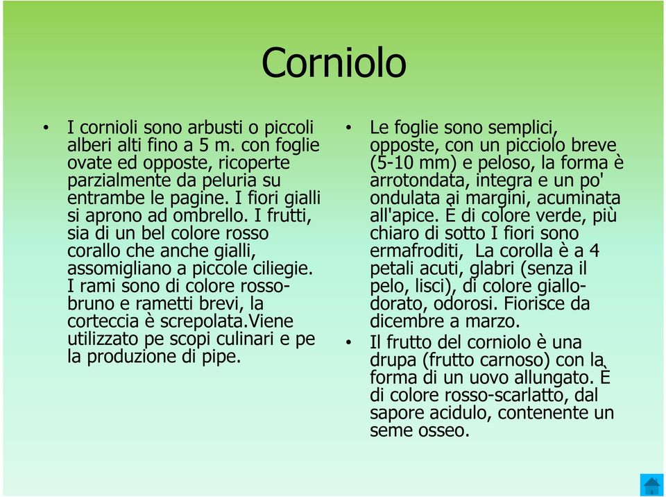 viene utilizzato pe scopi culinari e pe la produzione di pipe.