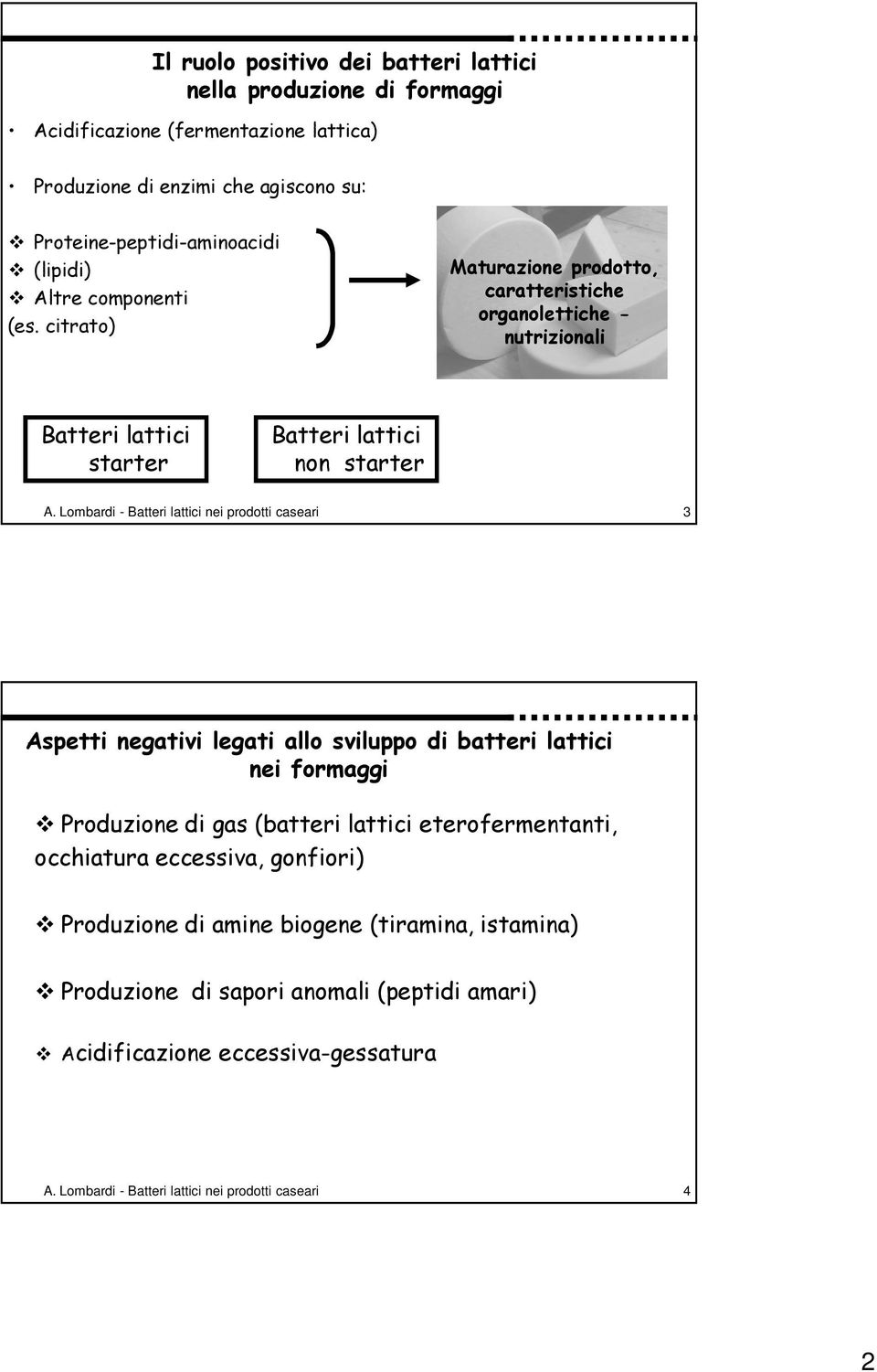 Lombardi - Batteri lattici nei prodotti caseari 3 Aspetti negativi legati allo sviluppo di batteri lattici nei formaggi Produzione di gas (batteri lattici eterofermentanti,