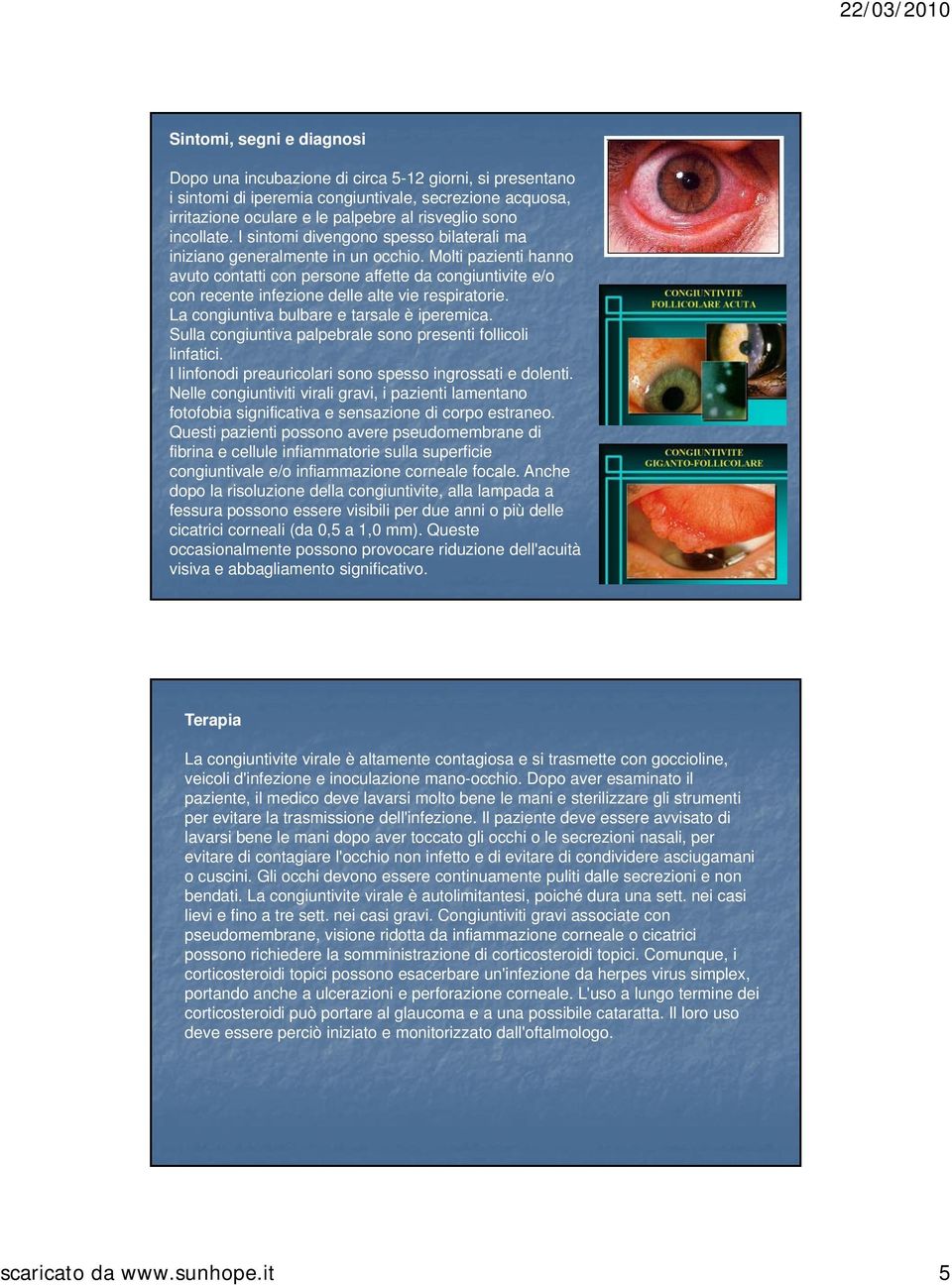 Molti pazienti hanno avuto contatti con persone affette da congiuntivite e/o con recente infezione delle alte vie respiratorie. La congiuntiva bulbare e tarsale è iperemica.