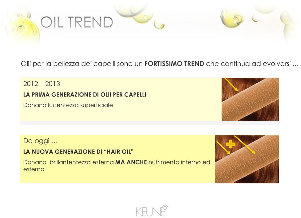 .. 2012 2013 LA PRIMA GENERAZIONE DI OLII PER CAPELLI Donano lucentezza