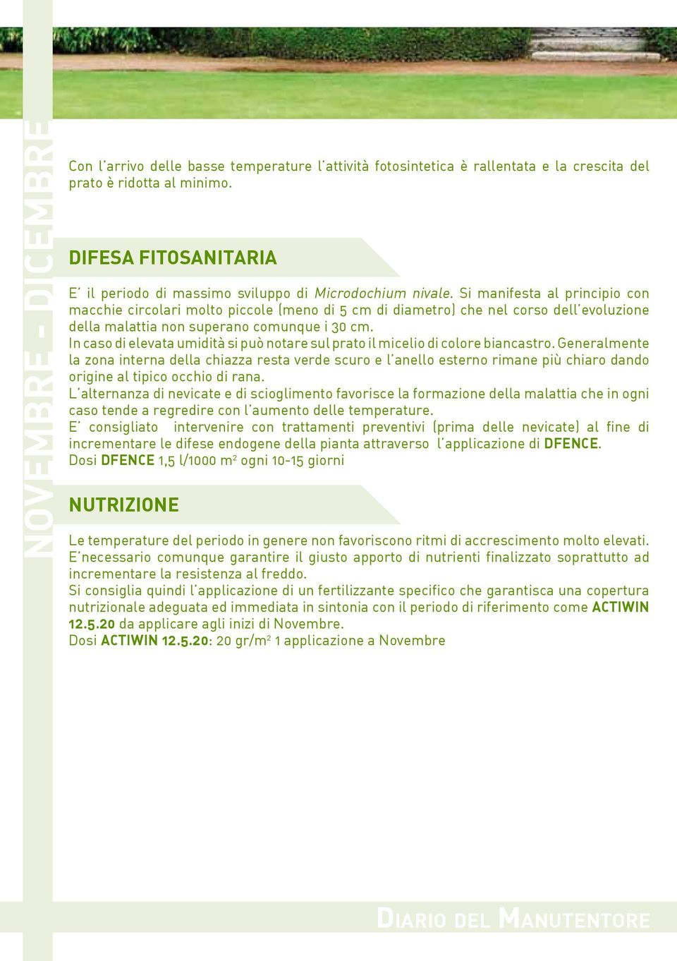 Si manifesta al principio con macchie circolari molto piccole (meno di 5 cm di diametro) che nel corso dell evoluzione della malattia non superano comunque i 30 cm.