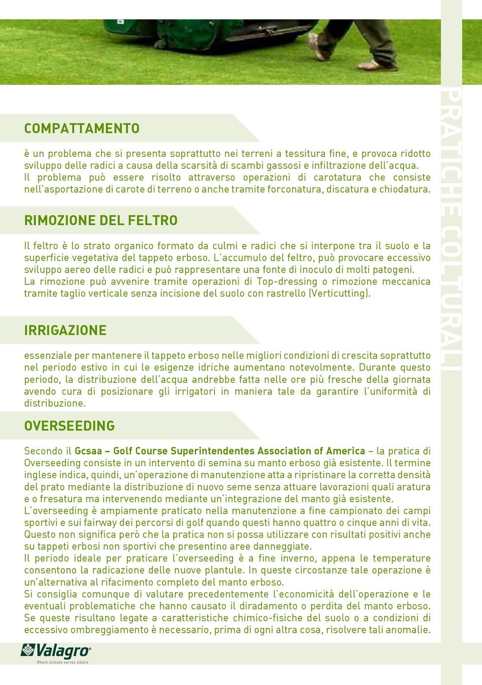 Rimozione del feltro Il feltro è lo strato organico formato da culmi e radici che si interpone tra il suolo e la superficie vegetativa del tappeto erboso.