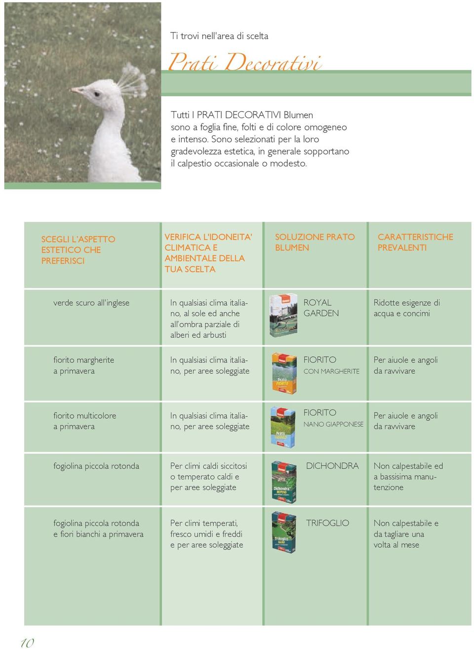 SCEGLI L ASPETTO ESTETICO CHE PREFERISCI VERIFICA L'IDONEITA' CLIMATICA E AMBIENTALE DELLA TUA SCELTA SOLUZIONE PRATO BLUMEN CARATTERISTICHE PREVALENTI verde scuro all'inglese In qualsiasi clima