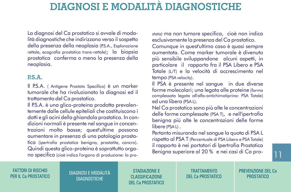 Il P.S.A. ( Antigene Prostato Specifico) è un marker tumorale che ha rivoluzionato la diagnosi ed il trattamento del Ca prostatico. Il P.S.A. è una glico-proteina prodotta prevalentemente dalle cellule epiteliali che costituiscono i dotti e gli acini della ghiandola prostatica.