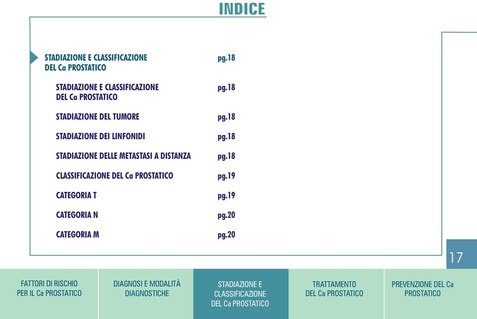 CATEGORIA T CATEGORIA N CATEGORIA M pg.18 pg.18 pg.18 pg.18 pg.18 pg.19 pg.