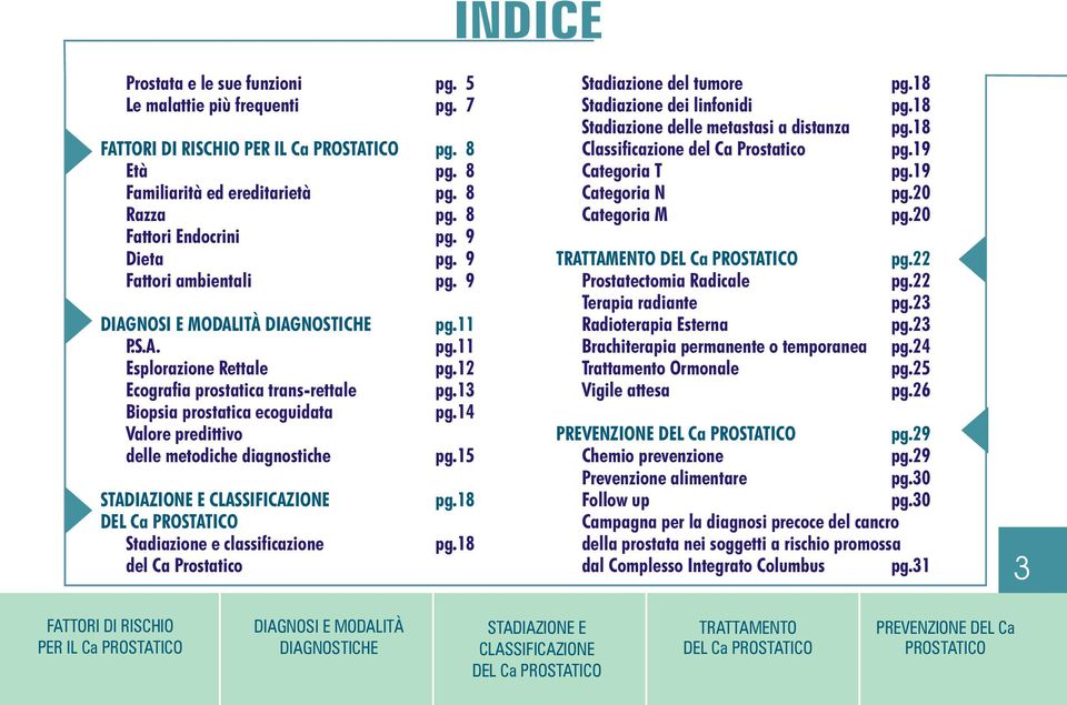 Esplorazione Rettale Ecografia prostatica trans-rettale Biopsia prostatica ecoguidata Valore predittivo delle metodiche diagnostiche Stadiazione e classificazione del Ca Prostatico pg.11 pg.11 pg.12 pg.