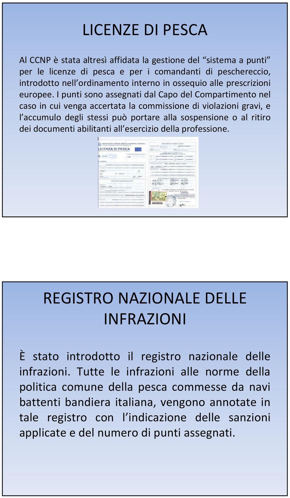 I punti sono assegnati dal Capo del Compartimento nel caso in cui venga accertata la commissione di violazioni gravi, e l accumulo degli stessi può portare alla sospensione o al ritiro dei