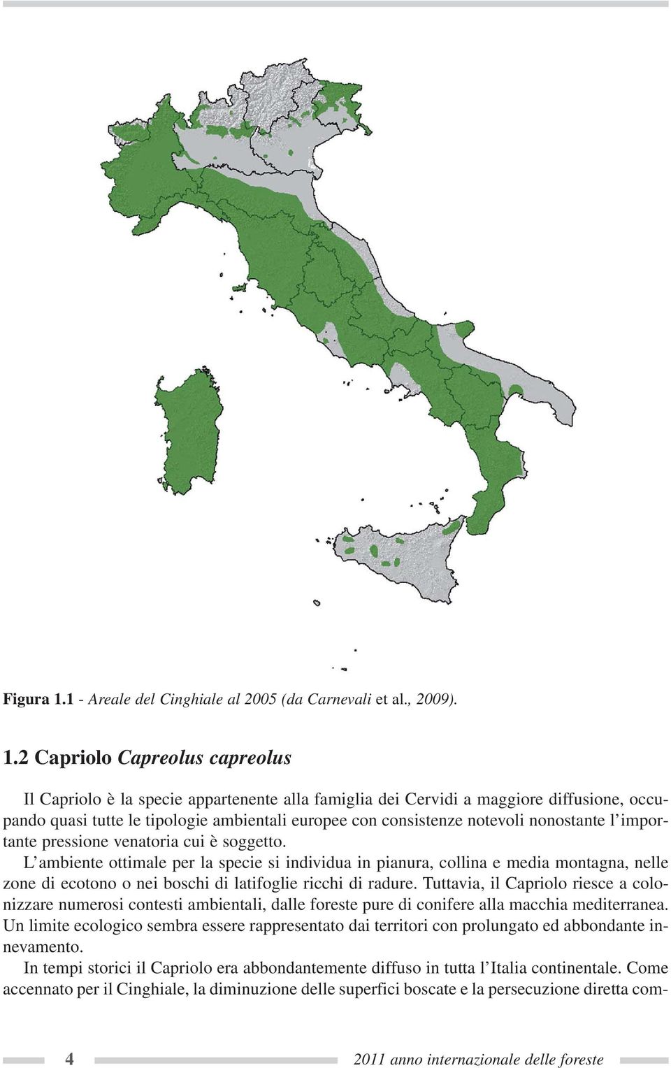 2 Capriolo Capreolus capreolus Il Capriolo è la specie appartenente alla famiglia dei Cervidi a maggiore diffusione, occupando quasi tutte le tipologie ambientali europee con consistenze notevoli