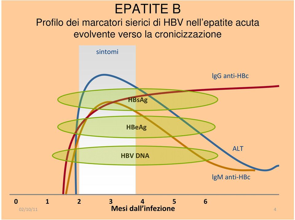 cronicizzazione sintomi lgg anti-hbc HBsAg HBeAg