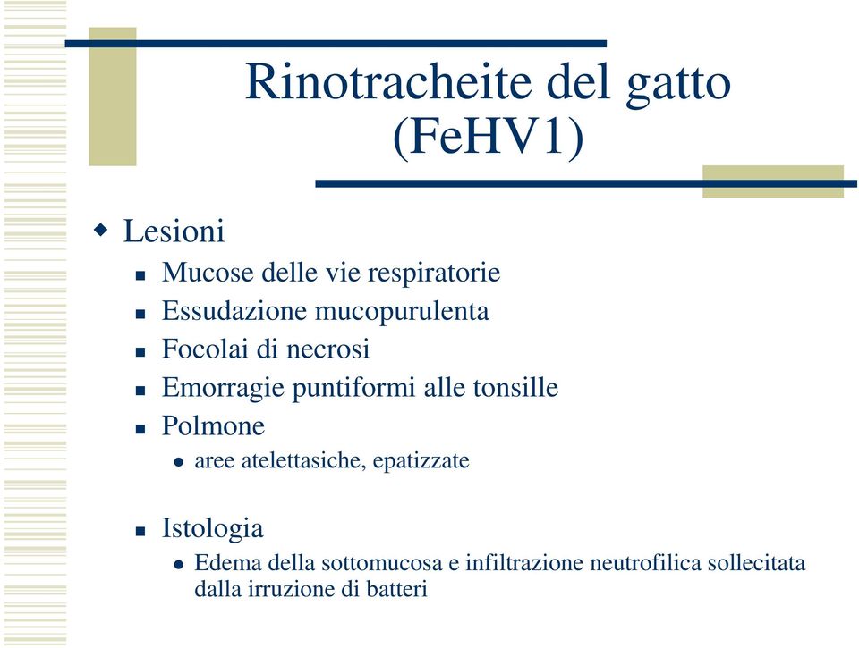 tonsille Polmone aree atelettasiche, epatizzate Istologia Edema della