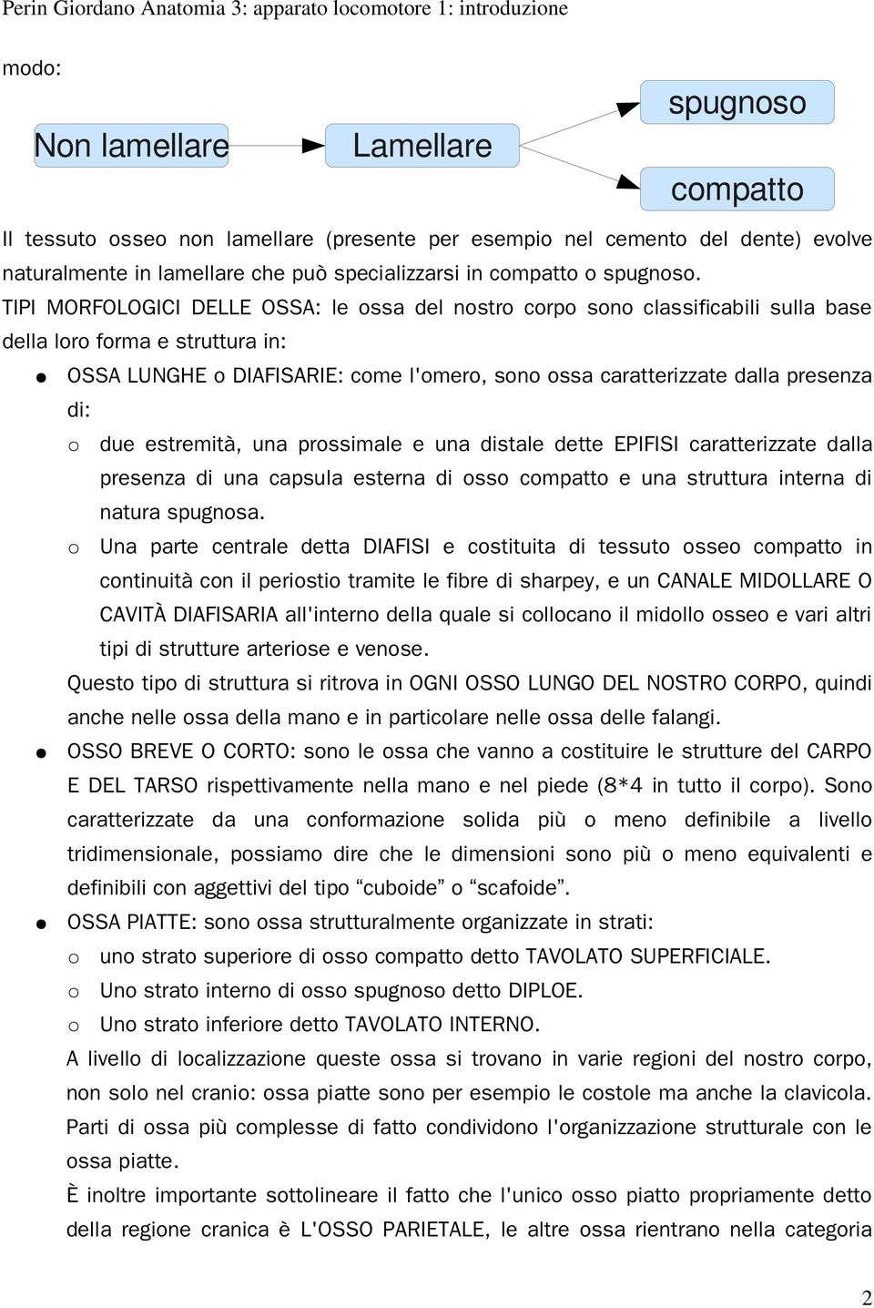 TIPI MORFOLOGICI DELLE OSSA: le ossa del nostro corpo sono classificabili sulla base della loro forma e struttura in: OSSA LUNGHE o DIAFISARIE: come l'omero, sono ossa caratterizzate dalla presenza