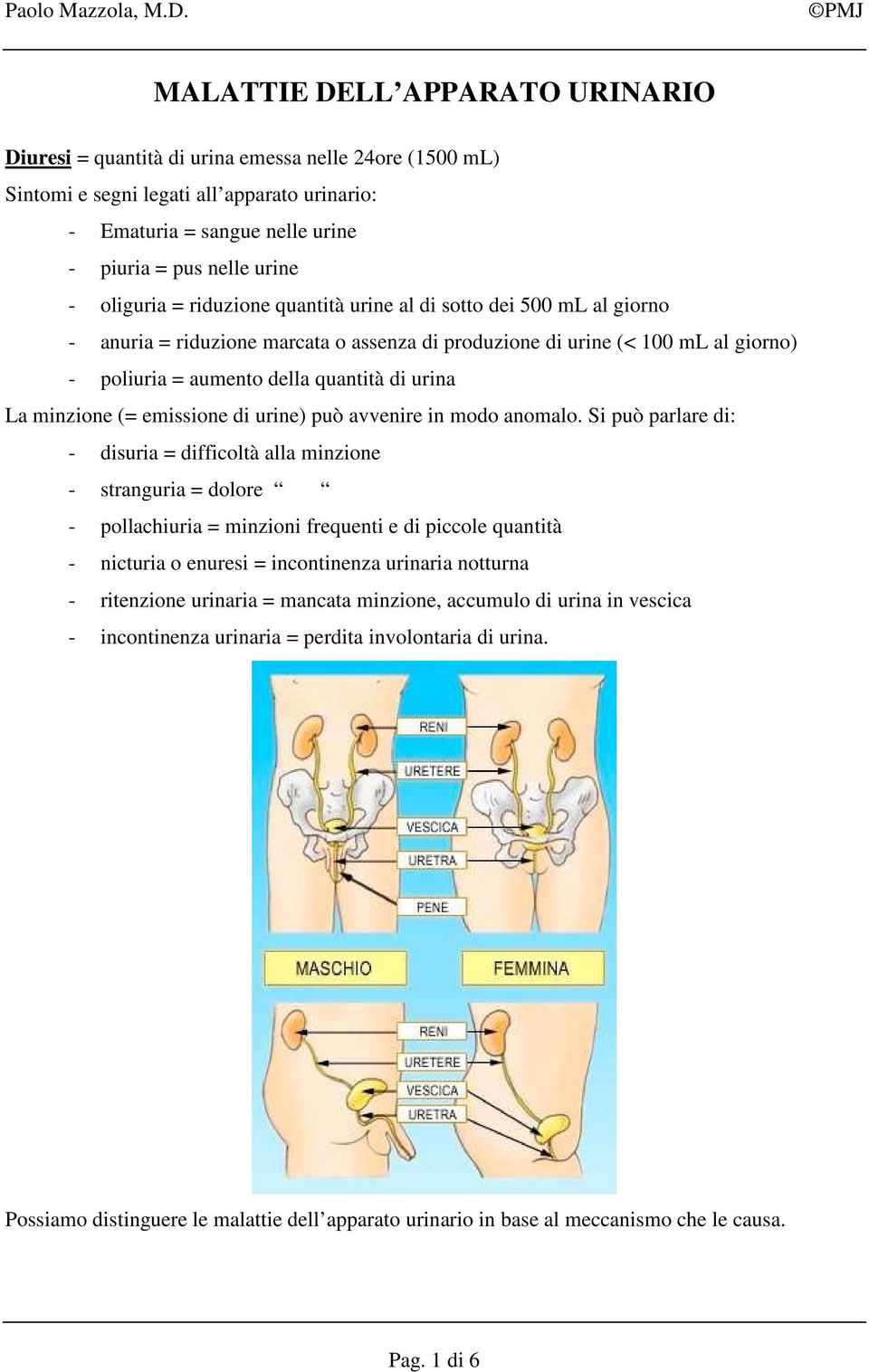 minzione (= emissione di urine) può avvenire in modo anomalo.