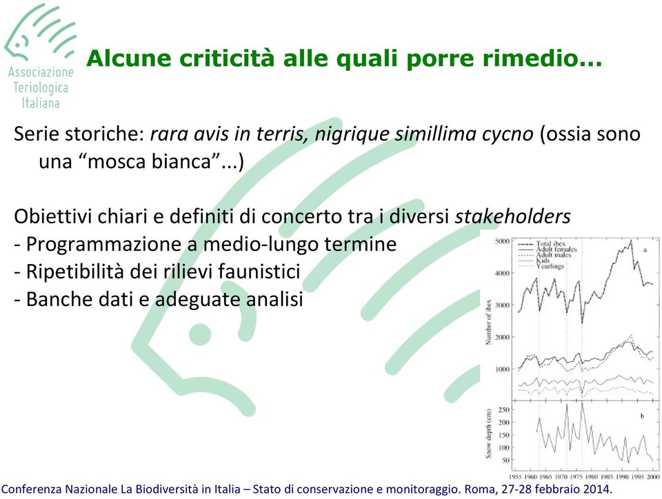 una mosca bianca.