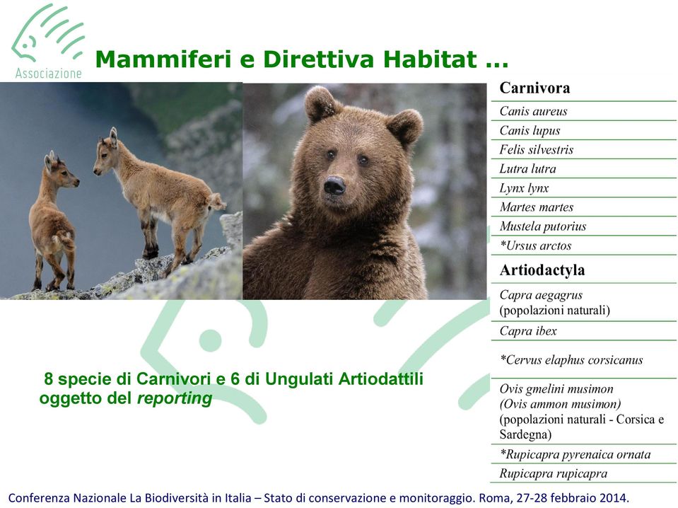 .. 8 specie di Carnivori e