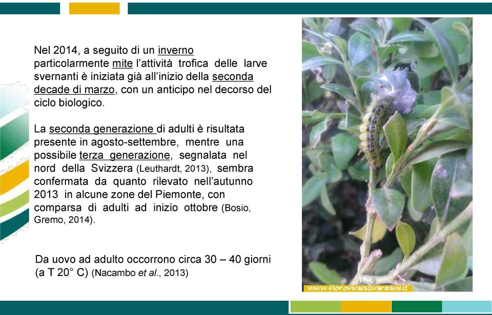 La seconda generazione di adulti è risultata presente in agosto-settembre, mentre una possibile terza generazione, segnalata nel nord della Svizzera