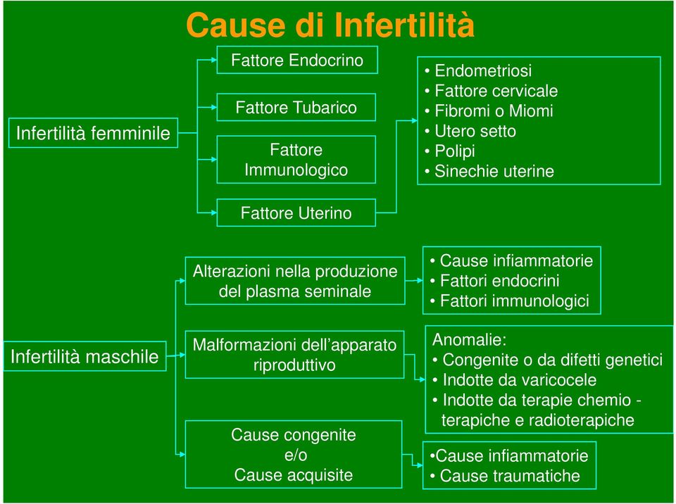Malformazioni dell apparato riproduttivo Cause congenite e/o Cause acquisite Cause infiammatorie Fattori endocrini Fattori immunologici