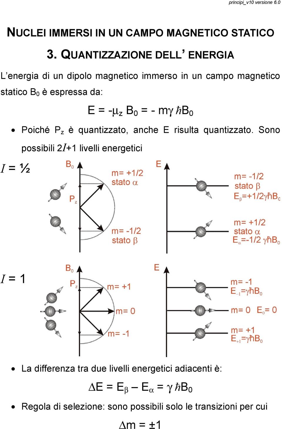 espressa da: E = -µ z B 0 = - mγ ħb 0 Poiché P z è quantizzato, anche E risulta quantizzato.
