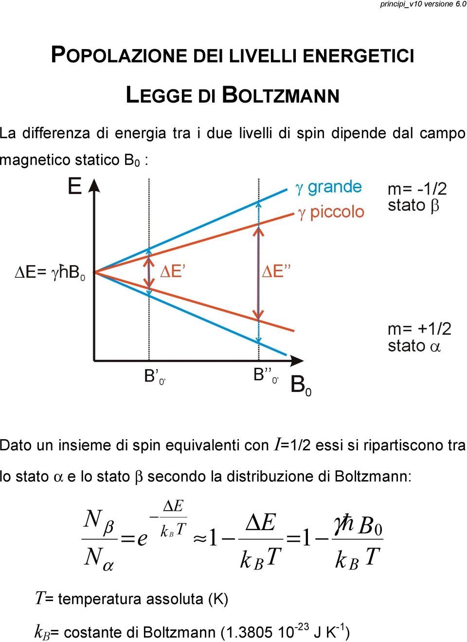 ripartiscono tra lo stato α e lo stato β secondo la distribuzione di Boltzmann: N N β α = e E k T 1 E