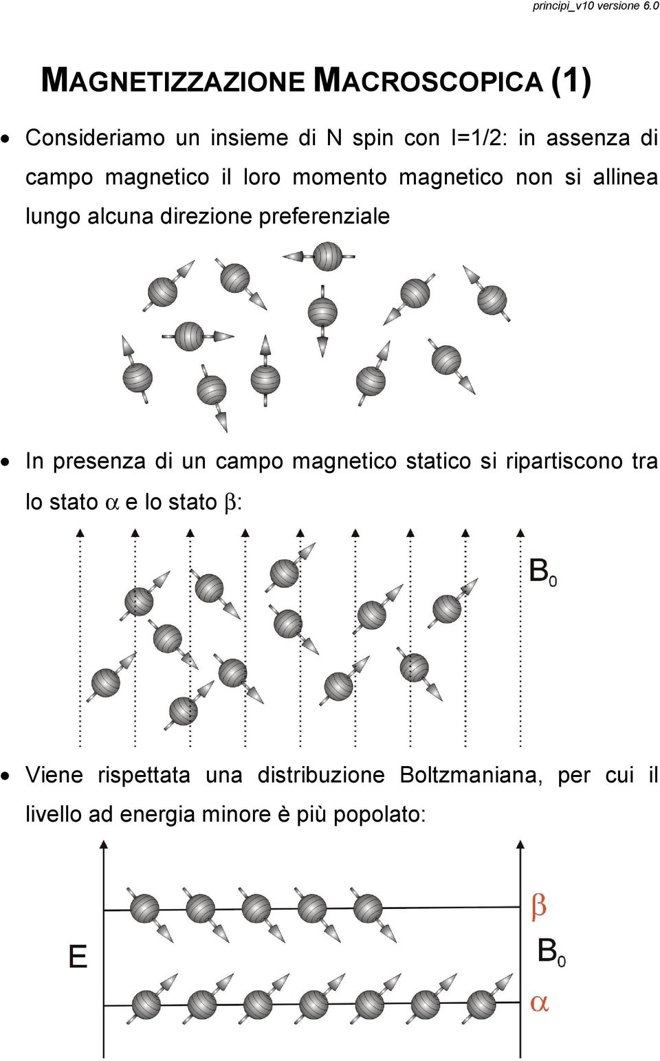 In presenza di un campo magnetico statico si ripartiscono tra lo stato α e lo stato β: Viene