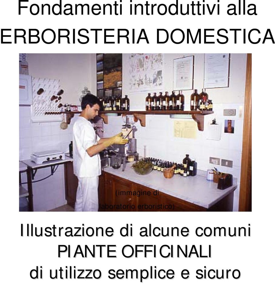 erboristico) Illustrazione di alcune