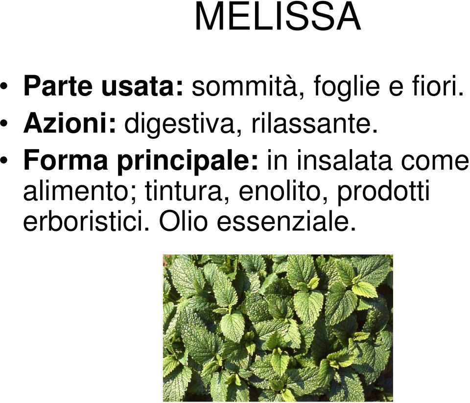 Forma principale: in insalata come alimento;