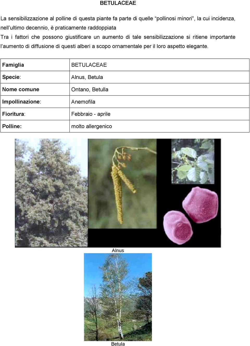 di tale sensibilizzazione si ritiene importante l aumento di diffusione di questi alberi a scopo ornamentale