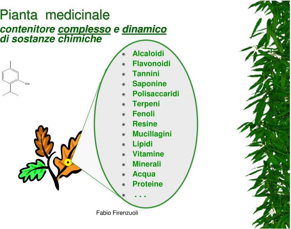 Flavonoidi Tannini Saponine Polisaccaridi Terpeni