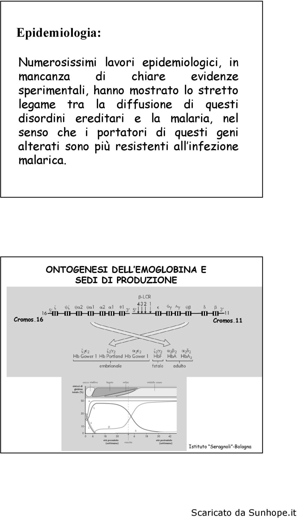 e la malaria, nel senso che i portatori di questi geni alterati sono più resistenti all