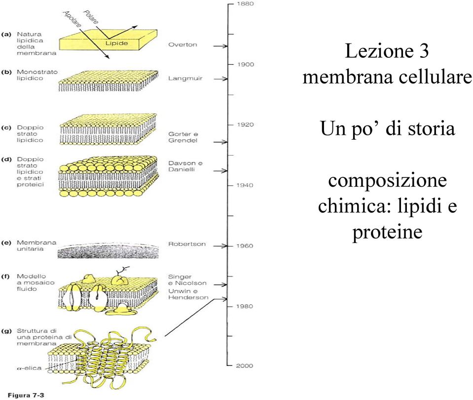 storia composizione