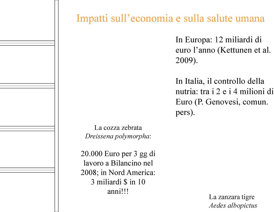 In Italia, il controllo della nutria: tra i 2 e i 4 milioni di Euro (P. Genovesi, comun.