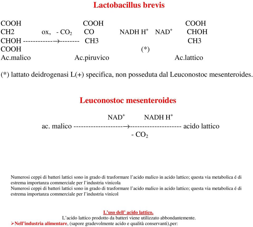 malico -------------------- --------------------- acido lattico - CO 2 Numerosi ceppi di batteri lattici sono in grado di trasformare l acido malico in acido lattico; questa via metabolica é di