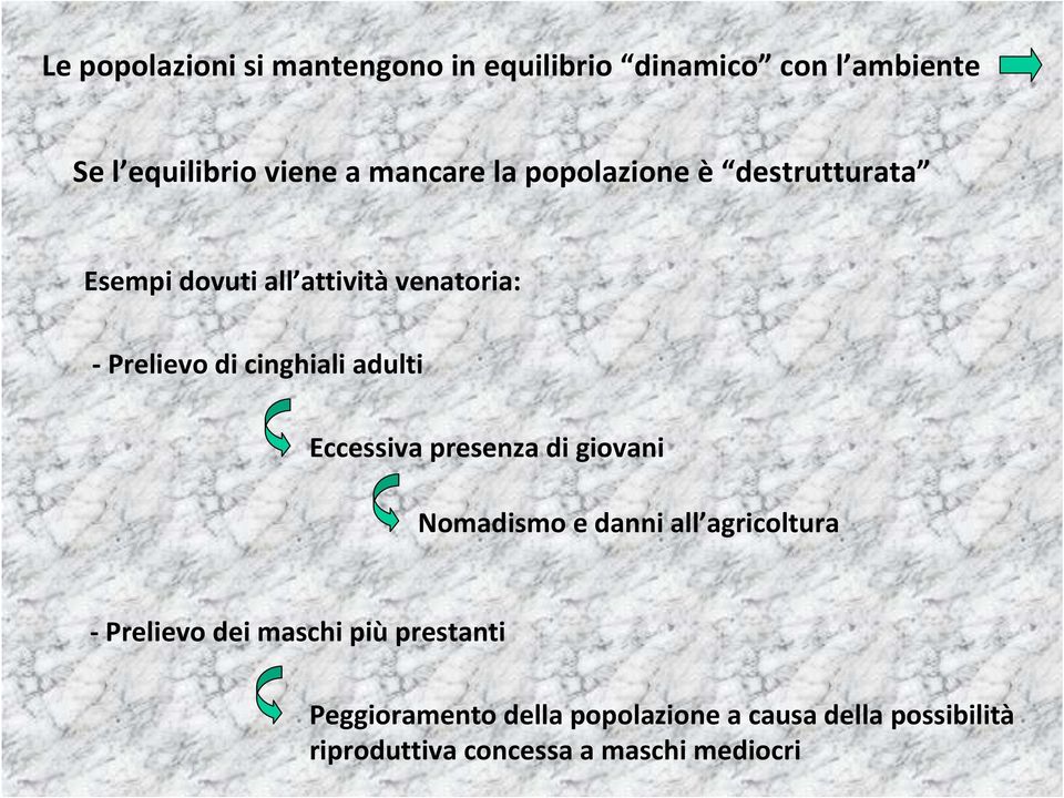 adulti Eccessiva presenza di giovani Nomadismo e danni all agricoltura - Prelievo dei maschi più