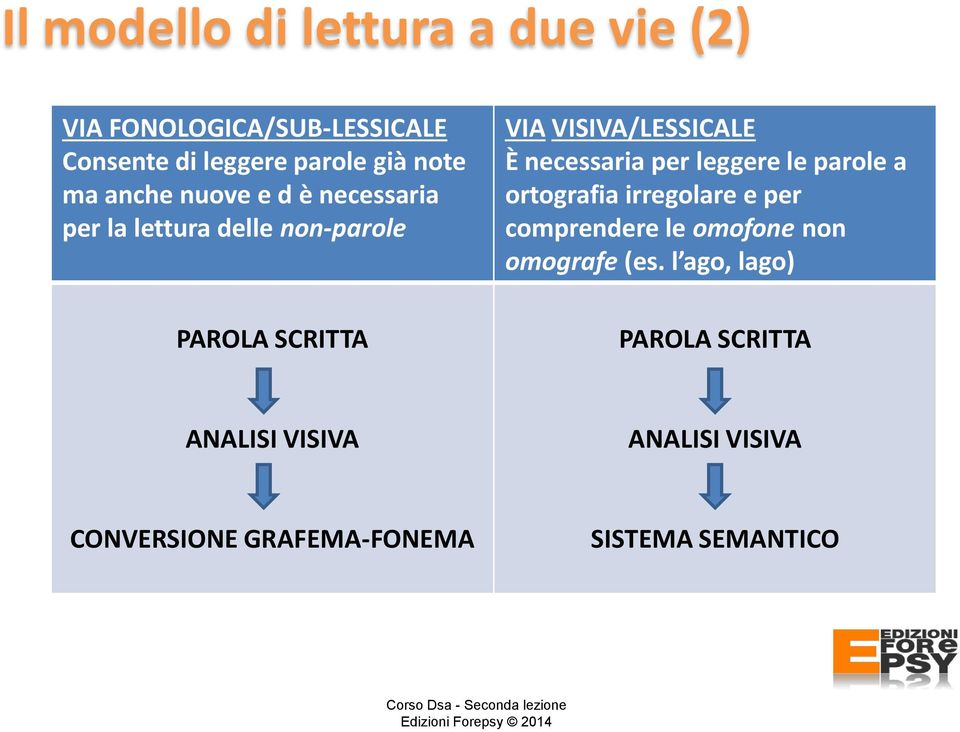 leggere le parole a ortografia irregolare e per comprendere le omofone non omografe (es.