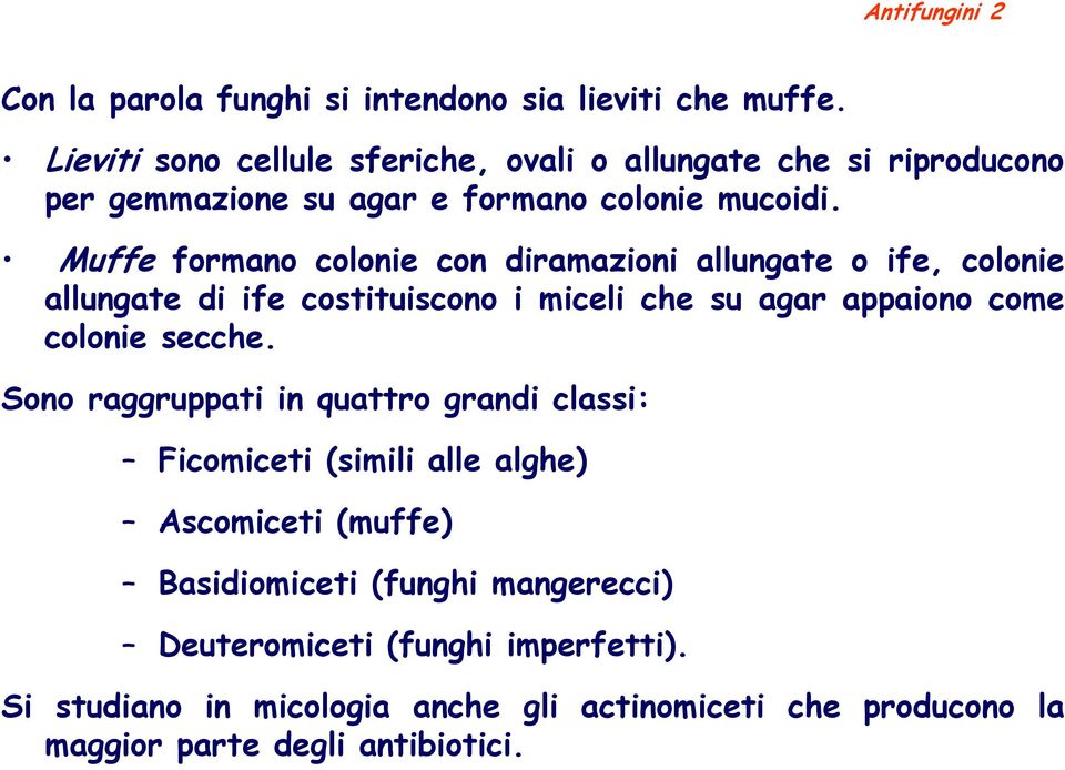 Muffe formano colonie con diramazioni allungate o ife, colonie allungate di ife costituiscono i miceli che su agar appaiono come colonie secche.