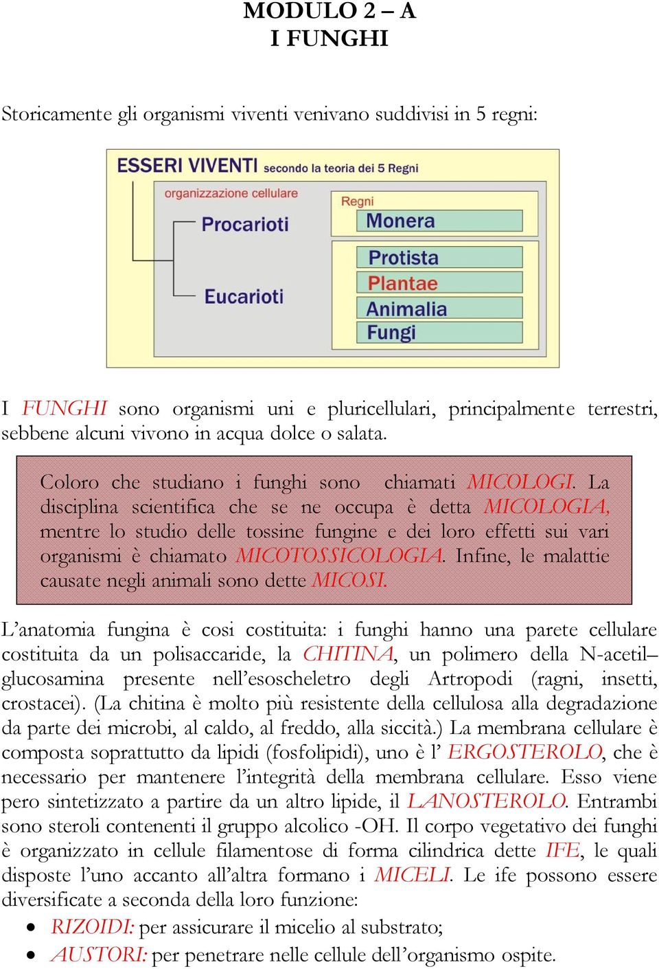 La disciplina scientifica che se ne occupa è detta MICOLOGIA, mentre lo studio delle tossine fungine e dei loro effetti sui vari organismi è chiamato MICOTOSSICOLOGIA.