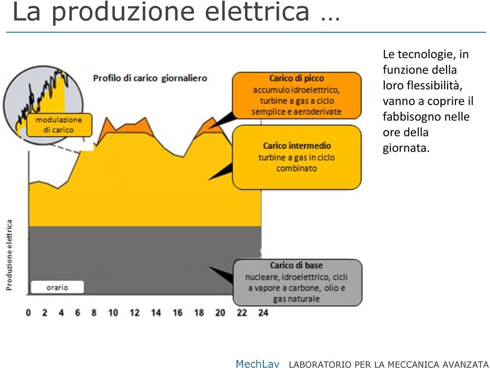 loro flessibilità, vanno a