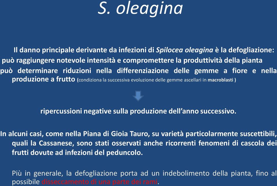 negative sulla produzione dell anno successivo.