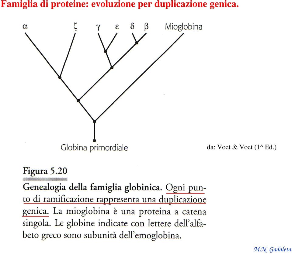 per duplicazione