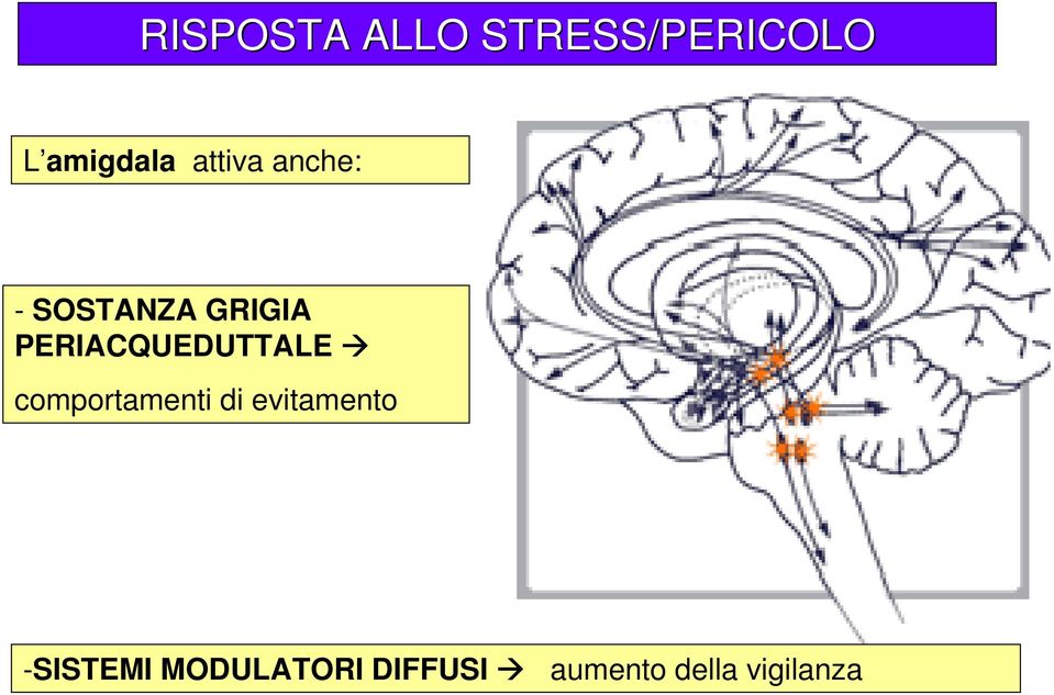 PERIACQUEDUTTALE comportamenti di