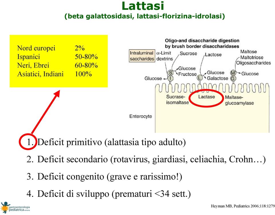 Deficit secondario (rotavirus, giardiasi, celiachia, Crohn ) 3.