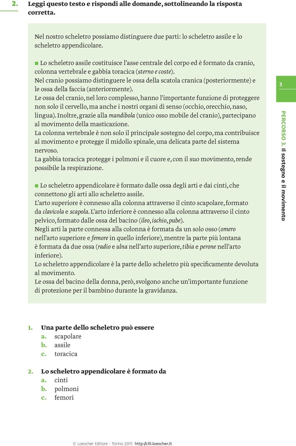 Nel cranio possiamo distinguere le ossa della scatola cranica (posteriormente) e le ossa della faccia (anteriormente).