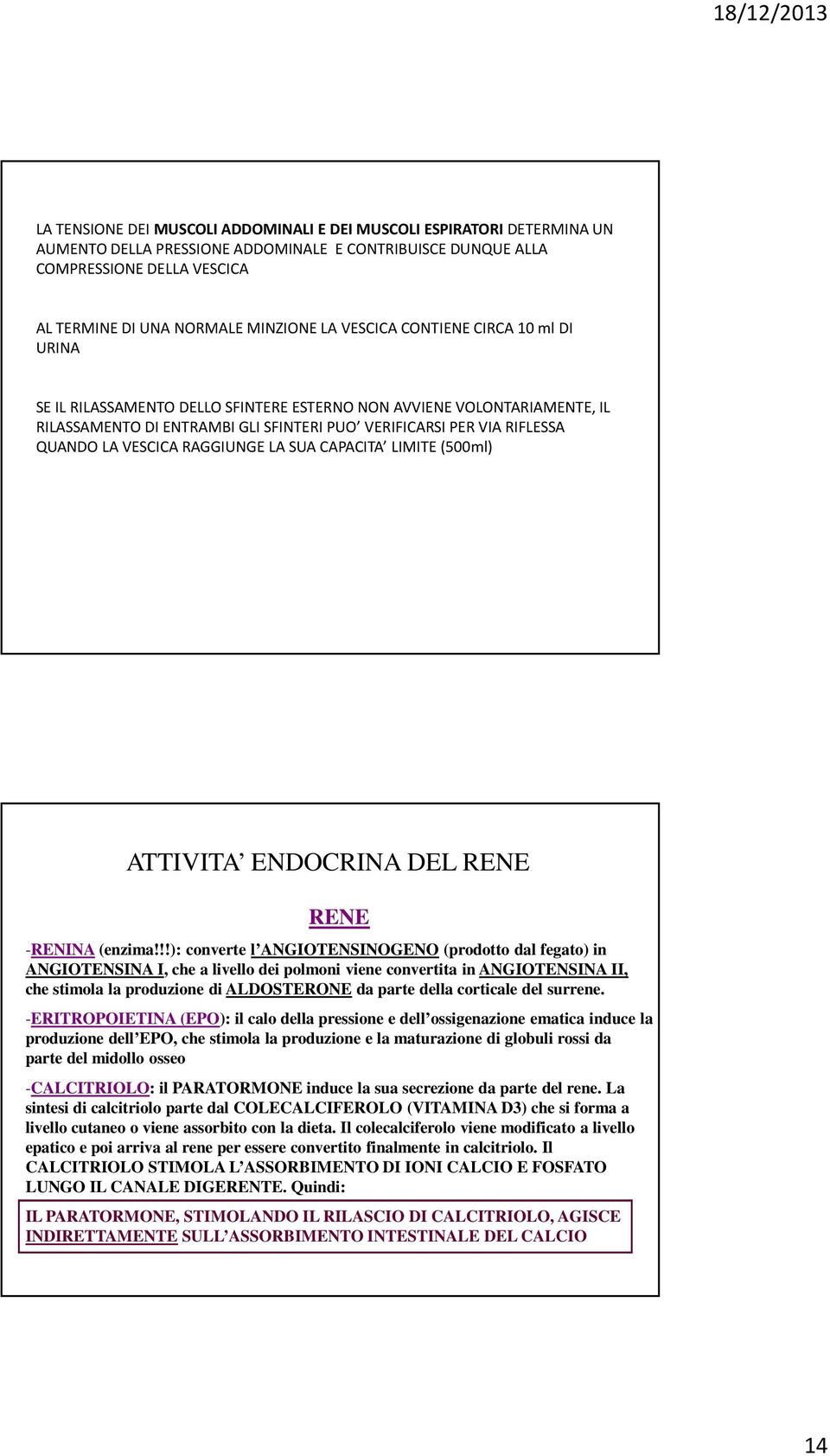 VESCICA RAGGIUNGE LA SUA CAPACITA LIMITE (500ml) ATTIVITA ENDOCRINA DEL RENE RENE -RENINA (enzima!