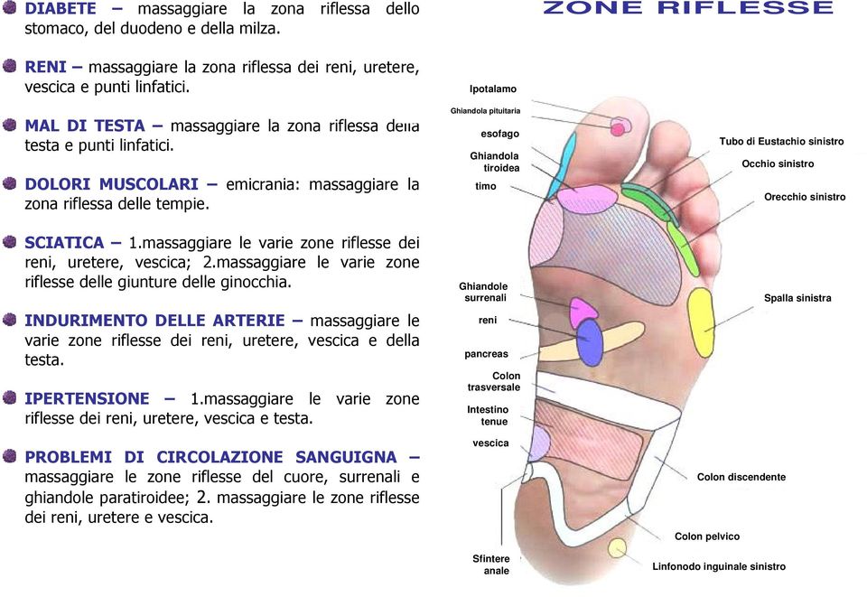 massaggiare le varie zone riflesse dei reni, uretere, vescica; 2.massaggiare le varie zone riflesse delle giunture delle ginocchia.