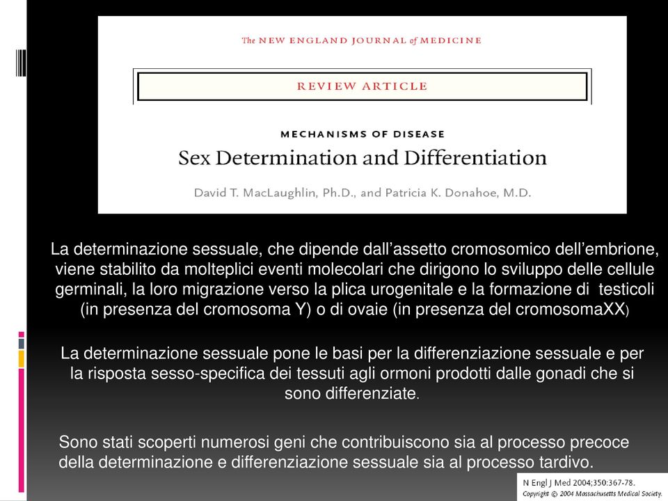 cromosomaxx) La determinazione sessuale pone le basi per la differenziazione sessuale e per la risposta sesso-specifica dei tessuti agli ormoni prodotti dalle