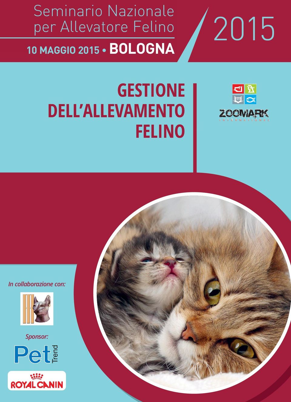 DELL ALLEVAMENTO FELINO In