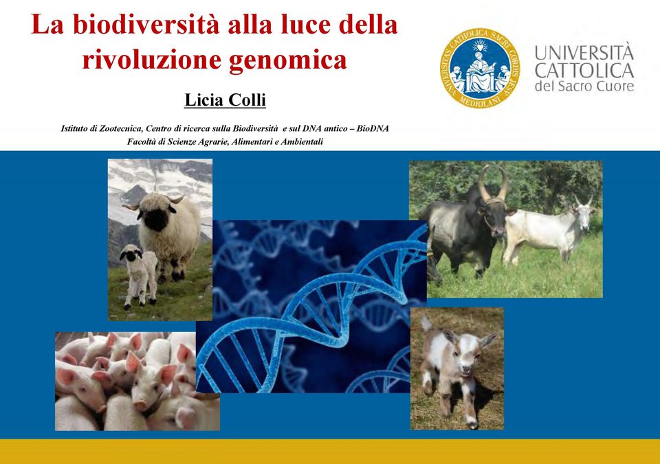 Centro di ricerca sulla Biodiversità e sul DNA