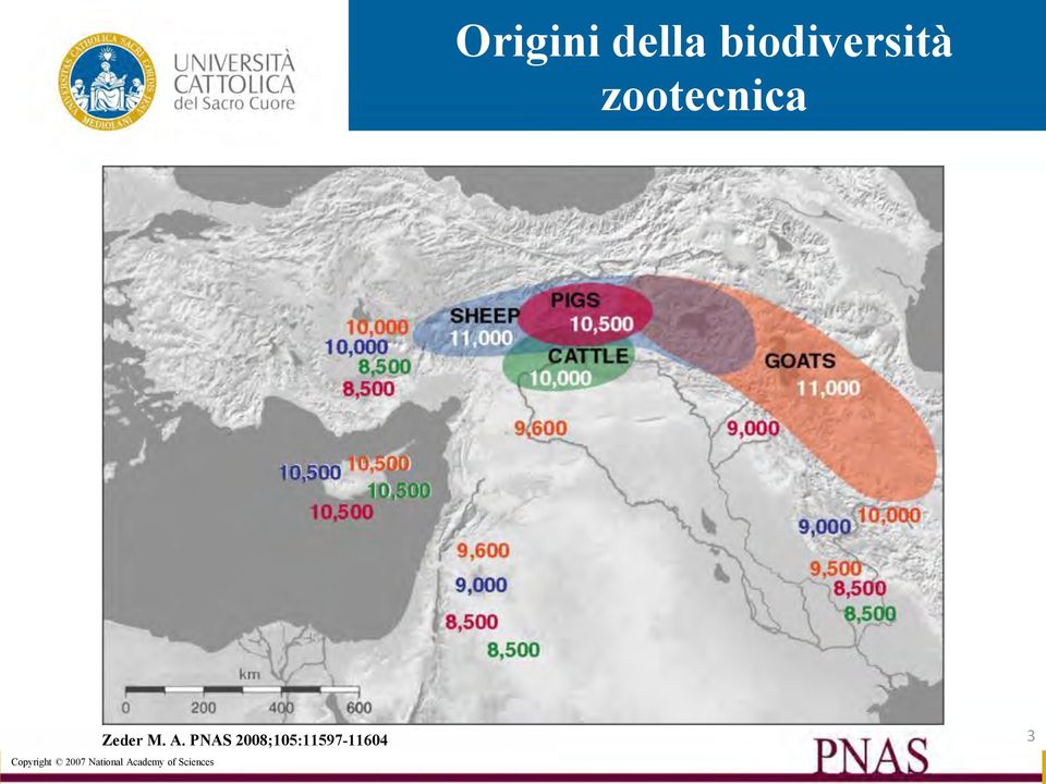 PNAS 2008;105:11597-11604