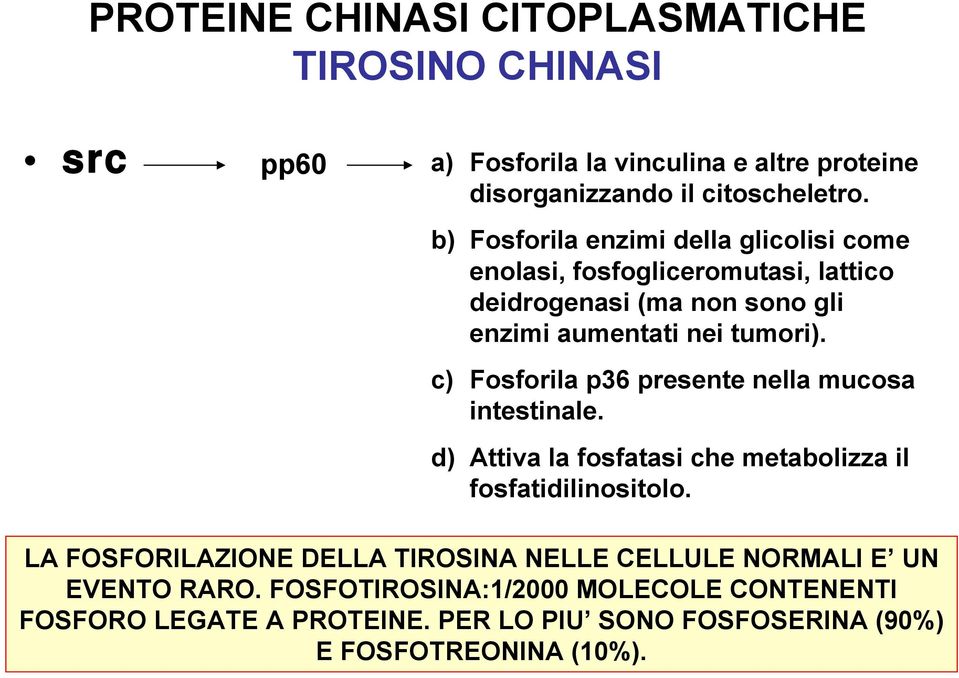 c) Fosforila p36 presente nella mucosa intestinale. d) Attiva la fosfatasi che metabolizza il fosfatidilinositolo.